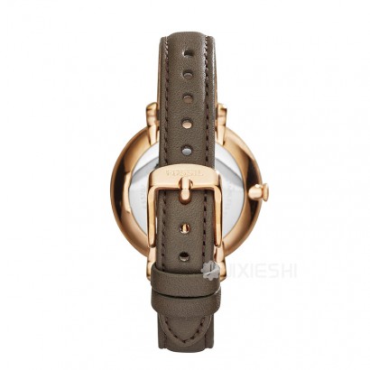 FOSSIL FOSSILŮʿʯӢES3707 Ȿԭ