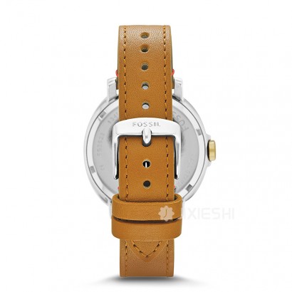 FOSSIL FOSSILŮʿֱES3523 Ȿԭ