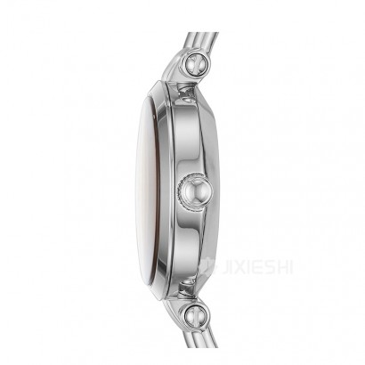 FOSSIL FOSSILŮʿֱES4025 Ȿԭ