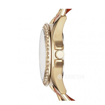 FOSSIL FOSSILŮʿֱES3723 Ȿԭ