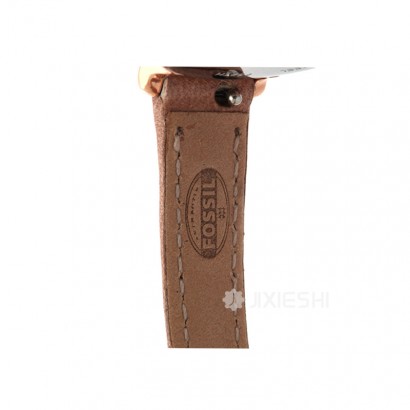 FOSSIL FOSSILŮʿֱES3802 Ȿԭ