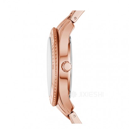 FOSSIL FOSSILŮʿֱES3815 Ȿԭ