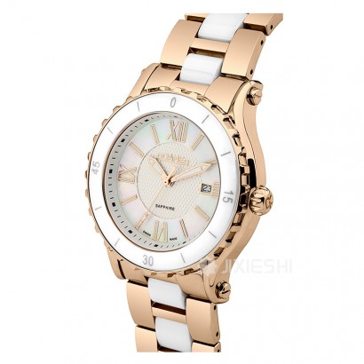 ROAMER ʿʯӢŮʿֱAEU9804923PE Ȿԭ