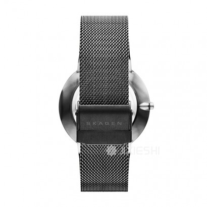 SKAGEN DENMARK ʫʯӢʿֱSKW6108 Ȿԭ