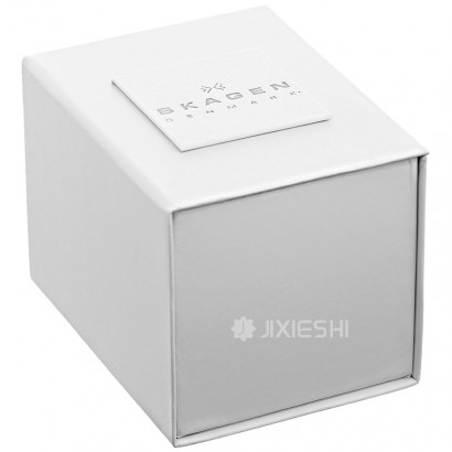 SKAGEN DENMARK ʫʯӢŮʿֱ358SSSD Ȿԭ