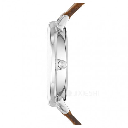 SKAGEN DENMARK ʫʯӢŮʿֱSKW2214 Ȿԭ