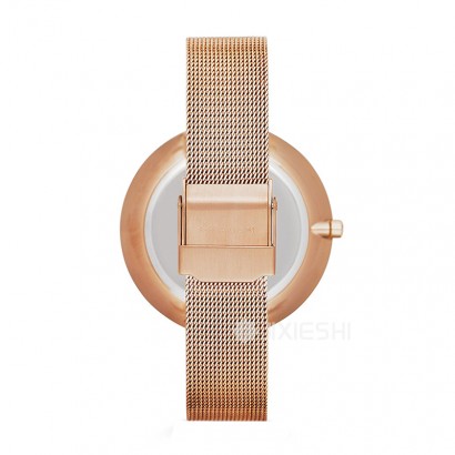SKAGEN DENMARK ʫʯӢŮʿֱSKW2142 Ȿԭ