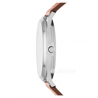 SKAGEN DENMARK ʫʯӢʿֱSKW6331 Ȿԭ