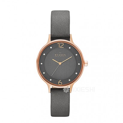 SKAGEN DENMARK ʫʯӢŮʿֱSKW2267 Ȿԭ