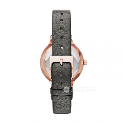 SKAGEN DENMARK ʫʯӢŮʿֱSKW2267 Ȿԭ