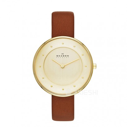 SKAGEN DENMARK ʫʯӢŮʿֱSKW2138 Ȿԭ