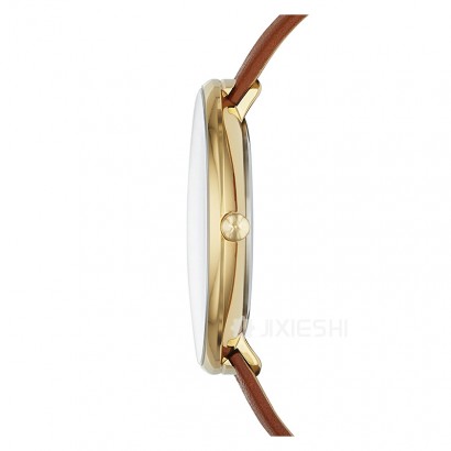 SKAGEN DENMARK ʫʯӢŮʿֱSKW2138 Ȿԭ