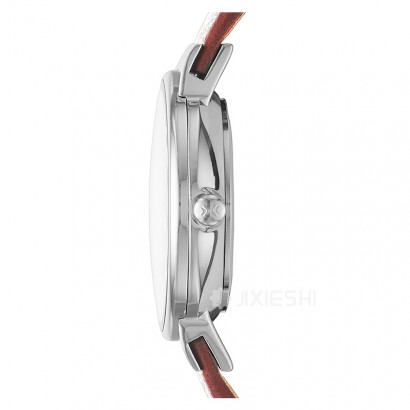 SKAGEN DENMARK ʫʯӢŮʿֱSKW2192 Ȿԭ