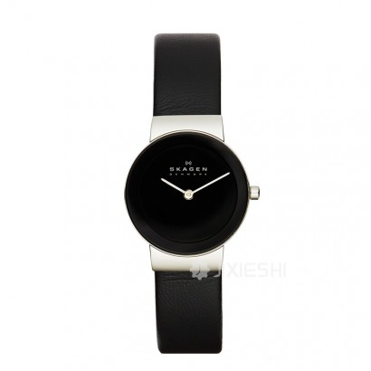 SKAGEN DENMARK ʫʯӢŮʿֱ358SSLB ...
