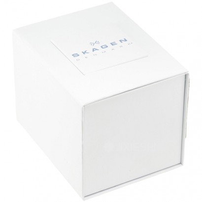 SKAGEN DENMARK ʫʯӢŮʿֱ358SSLB Ȿԭ