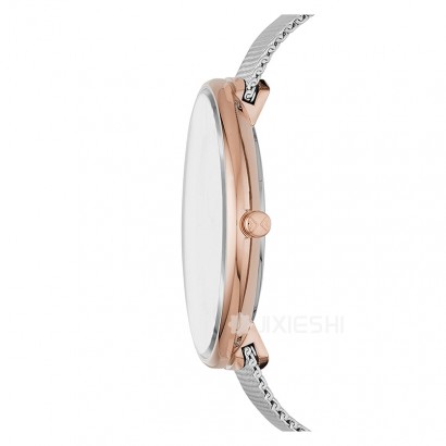 SKAGEN DENMARK ʫʯӢŮʿֱSKW2583 Ȿԭ