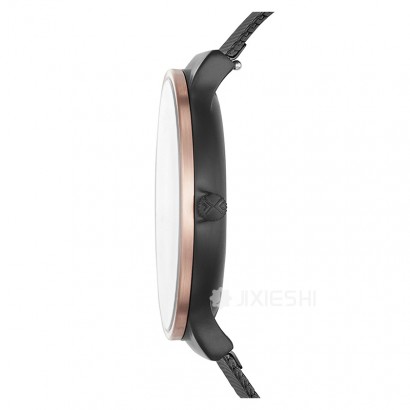 SKAGEN DENMARK ʫʯӢʿֱSKW6296 Ȿԭ