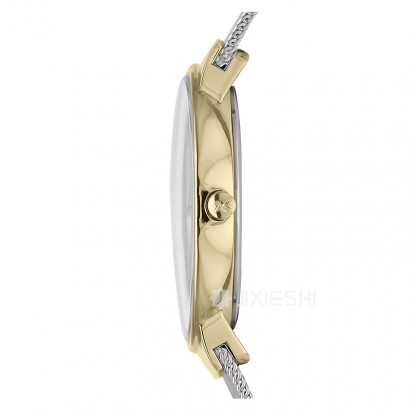 SKAGEN DENMARK ʫʯӢŮʿֱSKW2076 Ȿԭ