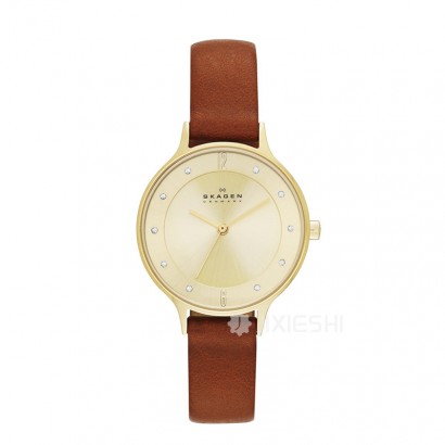 SKAGEN DENMARK ʫʯӢŮʿֱSKW2147 Ȿԭ