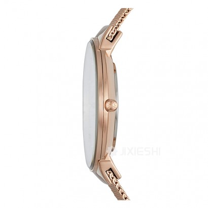 SKAGEN DENMARK ʫʯӢŮʿֱSKW2518 Ȿԭ