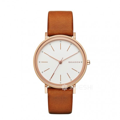 SKAGEN DENMARK ʫʯӢŮʿֱSKW2488 ...