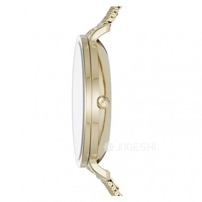 SKAGEN DENMARK ʫʯӢŮʿֱSKW2436 Ȿԭ