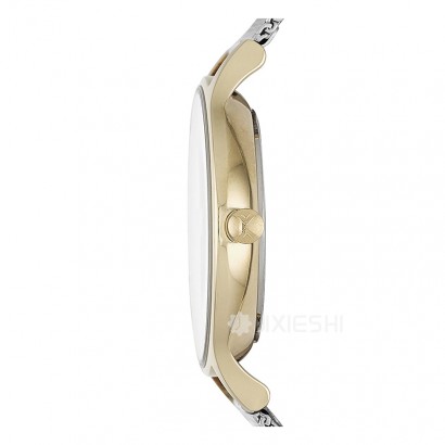 SKAGEN DENMARK ʫʯӢŮʿֱSKW2340 Ȿԭ