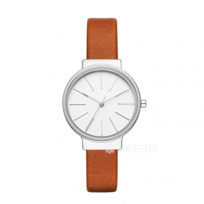 SKAGEN DENMARK ʫʯӢŮʿֱSKW2479 ...