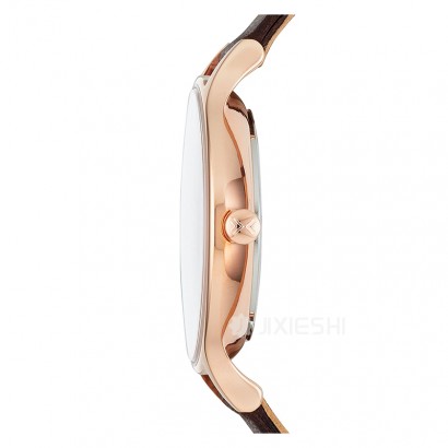 SKAGEN DENMARK ʫʯӢŮʿֱSKW2472 Ȿԭ