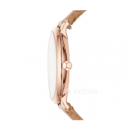 FOSSIL FOSSILŮʿֱES3487 Ȿԭ