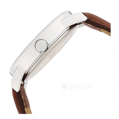 TIMEX ʱʯӢֱTW2P75900 Ȿԭ