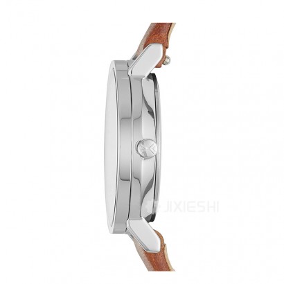 SKAGEN DENMARK ʫʯӢŮʿֱSKW2440 Ȿԭ