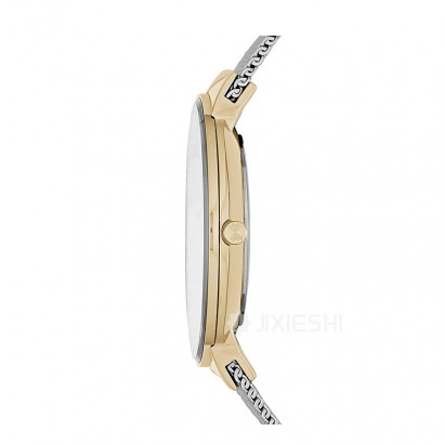 SKAGEN DENMARK ʫʯӢŮʿֱSKW2381 Ȿԭ