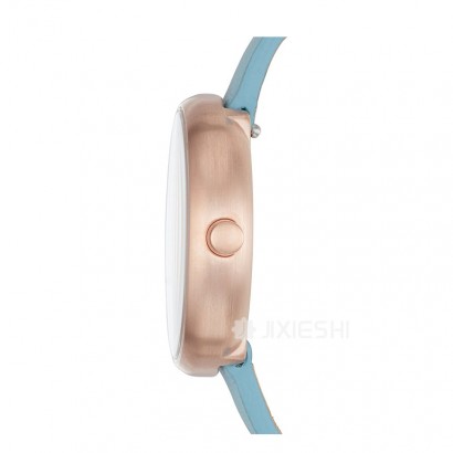 SKAGEN DENMARK ʫʯӢŮʿֱSKW2621 Ȿԭ