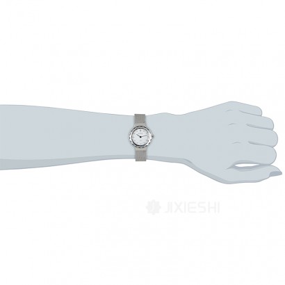 SKAGEN DENMARK ʫʯӢŮʿֱ456SSS Ȿԭ