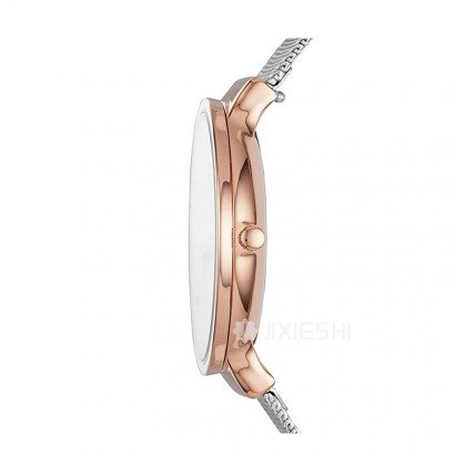SKAGEN DENMARK ʫʯӢŮʿֱSKW2616 Ȿԭ