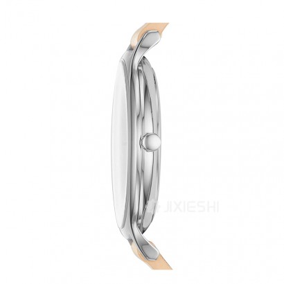SKAGEN DENMARK ʫʯӢŮʿֱSKW2634 Ȿԭ