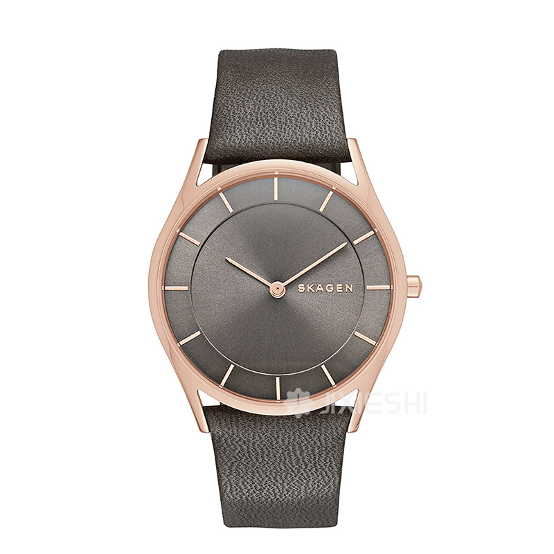 SKAGEN DENMARK ʫʯӢŮʿֱSKW2346 ...