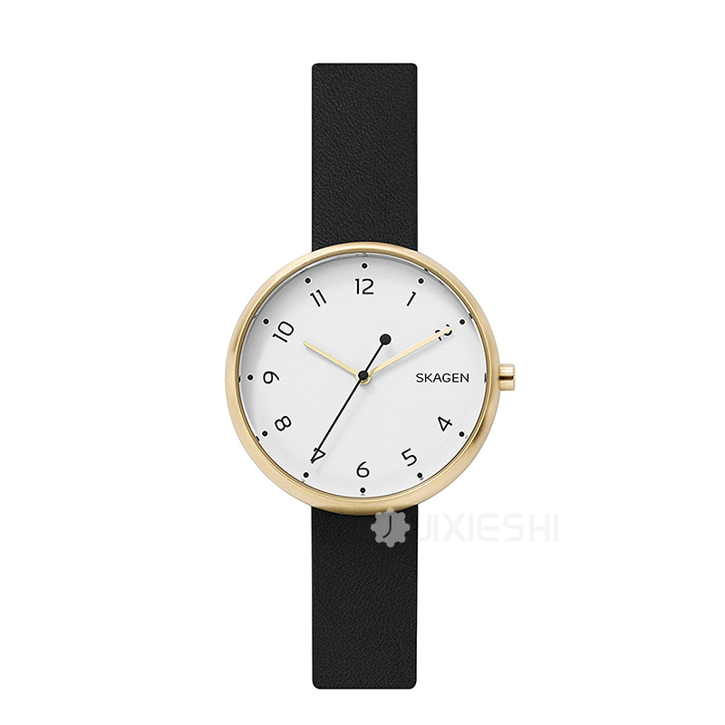 SKAGEN DENMARK ʫʯӢŮʿֱSKW2626 ...
