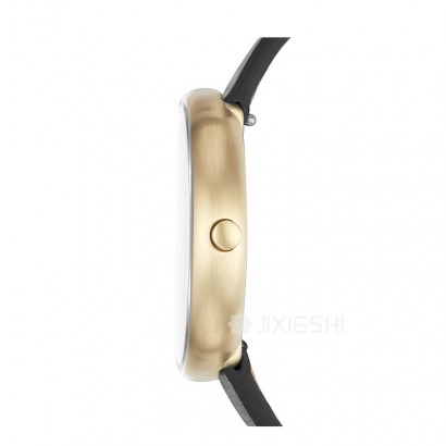 SKAGEN DENMARK ʫʯӢŮʿֱSKW2626 Ȿԭ