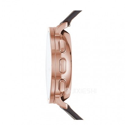 SKAGEN DENMARK ʫʯӢŮʿֱSKT1103 Ȿԭ