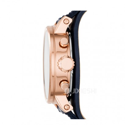 FOSSIL FOSSILʯӢŮʿֱES3838 Ȿԭ