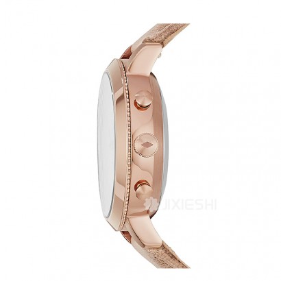 FOSSIL FOSSILʯӢŮʿֱFTW5007 Ȿԭ