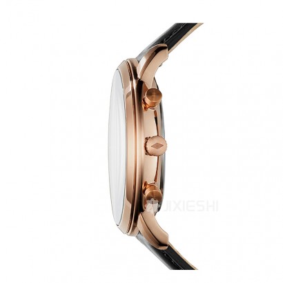 FOSSIL FOSSILʯӢʿֱFS5381 Ȿԭ