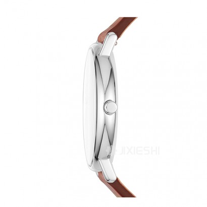 SKAGEN DENMARK ʫʯӢʿֱSKW6355 Ȿԭ