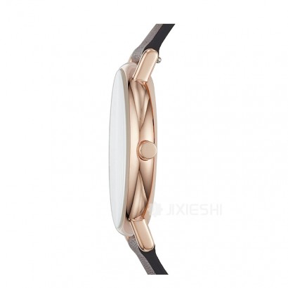 SKAGEN DENMARK ʫʯӢʿֱSKW6430 Ȿԭ