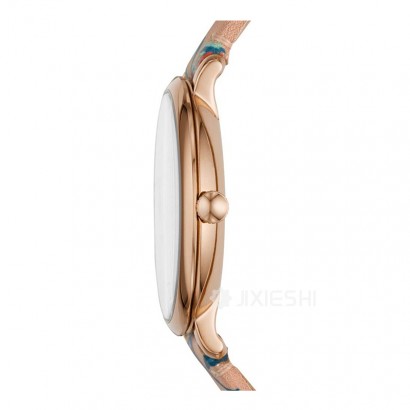 FOSSIL FOSSILŮʿʯӢES4494 Ȿԭ