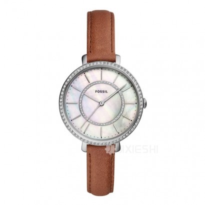 FOSSIL FOSSILŮʿʯӢES4454 Ȿԭ