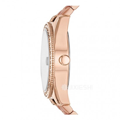 FOSSIL FOSSILŮʿʯӢES4509 Ȿԭ